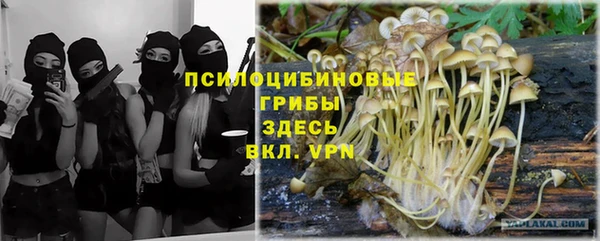 крисы Абдулино