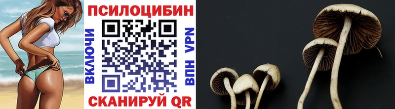 Псилоцибиновые грибы GOLDEN TEACHER  как найти закладки  Никольское 